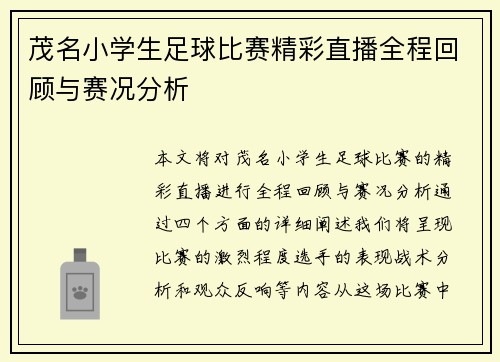 茂名小学生足球比赛精彩直播全程回顾与赛况分析